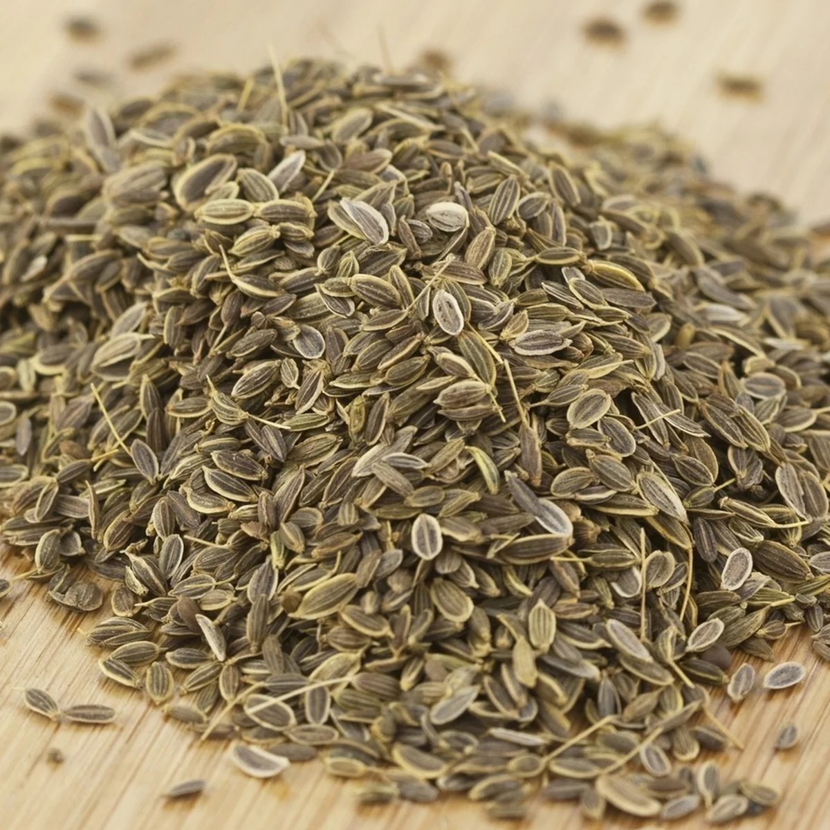 Dill Seeds Exporter | Bulk Indian Spice Supplier