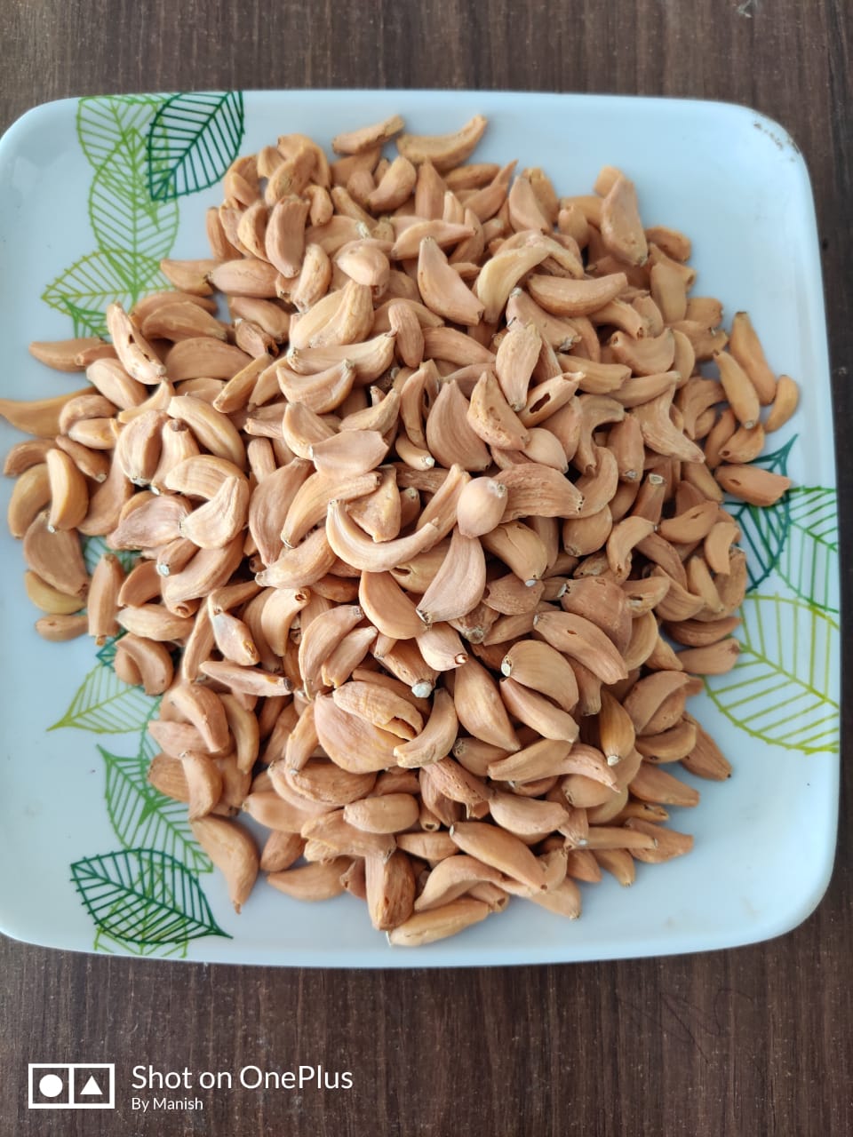 Dehydrated Garlic Flakes Manufacturer Exporter Mahuva Bhavnagar Gujarat India