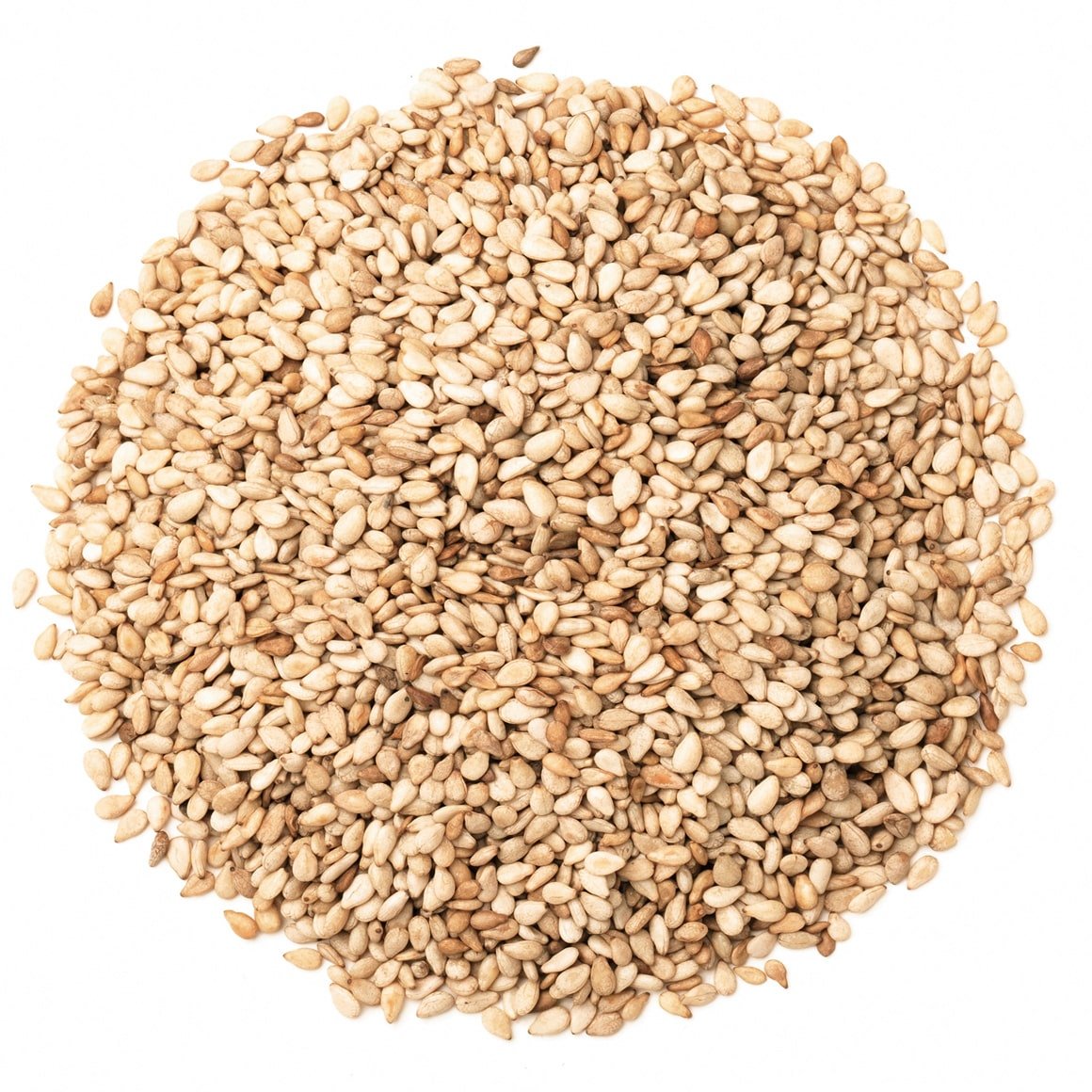 Natural Sesame Seeds Exporter India | Premium Bulk Supplier Gujarat